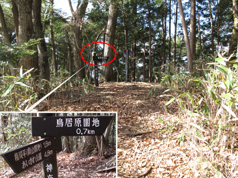 20161229hike (221)